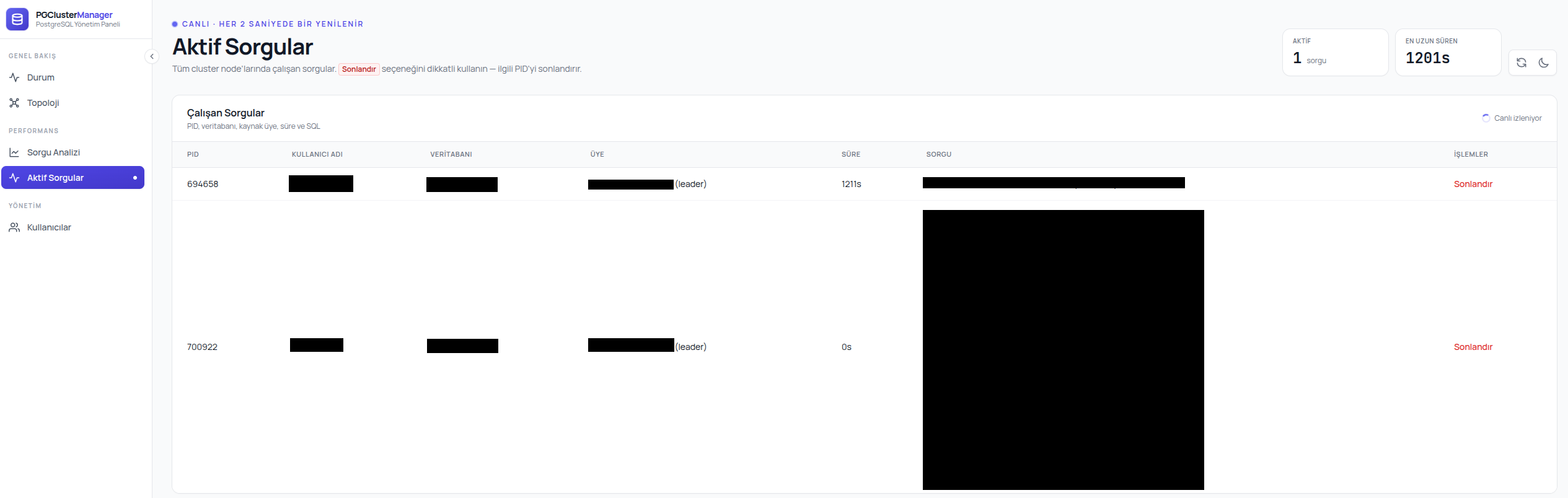 MonoDB Manager Active Query